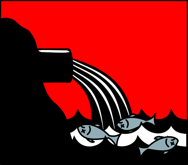 Water Pollution Effects